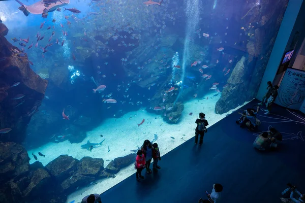 Taoyuan Taiwán Julio 2022 Xpark Aquarium Taiwán —  Fotos de Stock