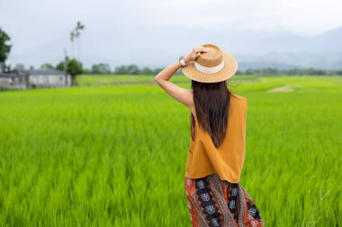 Gezgin kadın pirinç tarlasını ziyaret ediyor.