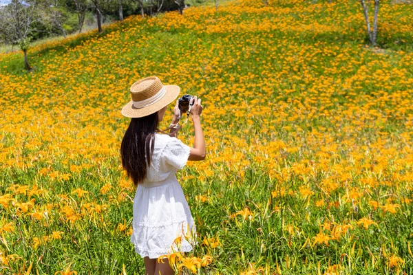 Frau Fotografiert Taglilie Blumenfeld Taimali Kinchen Mountain Taitung Taiwan — Stockfoto