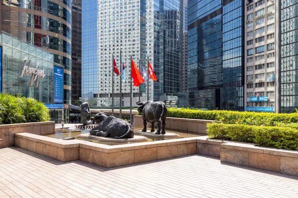 Central Hong Kong November 2021 Two Water Buffalo Sculptures Exchange — Stock Photo, Image