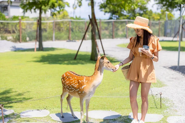 Travel Woman Feed Snack Formosan Sika Deer — Stockfoto