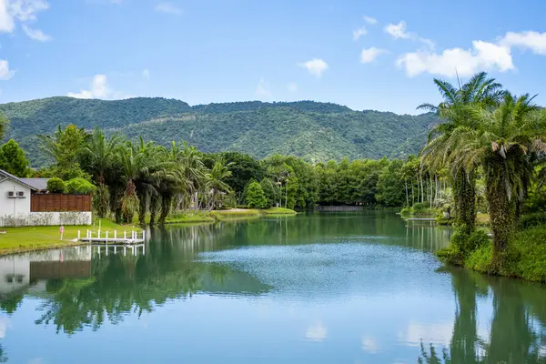 Schöne Naturlandschaft Mit Wasserteich — Stockfoto