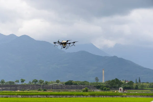 Agriculture drone farming fly to spray fertilizer on the rice fields