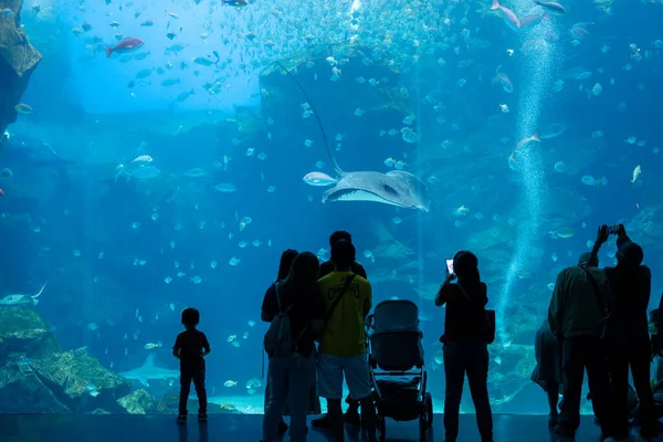 台湾桃園 2022年7月6日 台湾のXpark水族館 — ストック写真