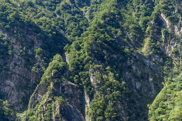 Tayvan Hualien Bölgesindeki Taroko Ulusal Parkı Nda Güzel Bir Kaya — Stok fotoğraf