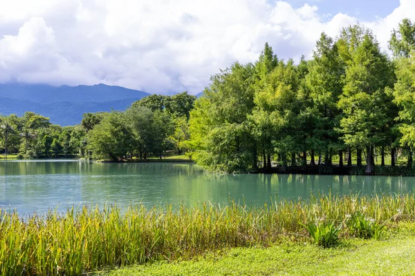 Vackert Naturlandskap Med Vattendamm — Stockfoto