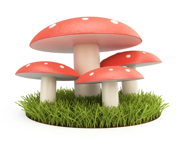 Toadstools — Stock fotografie