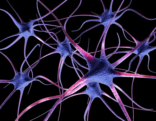 Neurons — Stock Photo, Image