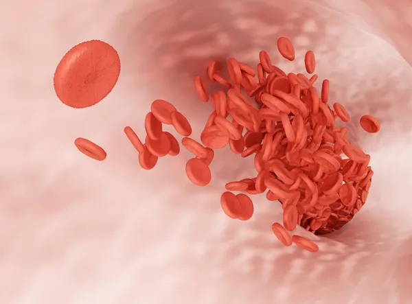 红细胞的流动 — 图库照片