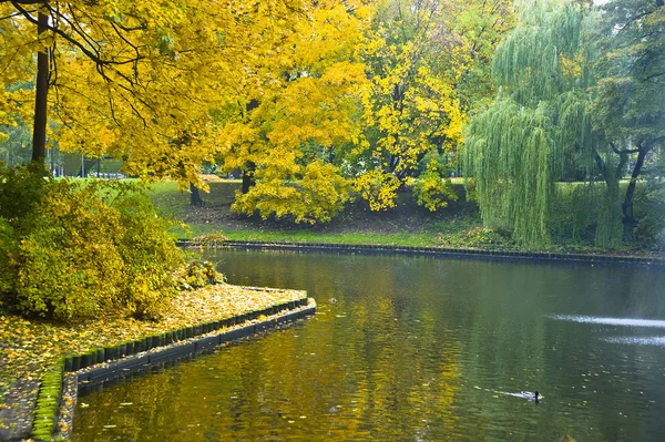 Podzimní krajina v městě kanálu v Rize — Stock fotografie