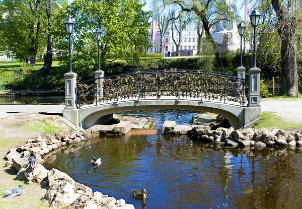 Riga. Visací zámky na mostě všech milovníků. — Stock fotografie