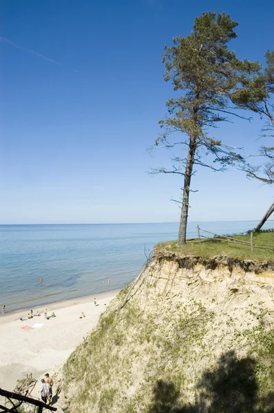 Łotwa. Plaży i sosnowych na strome wybrzeża Morza Bałtyckiego — Zdjęcie stockowe