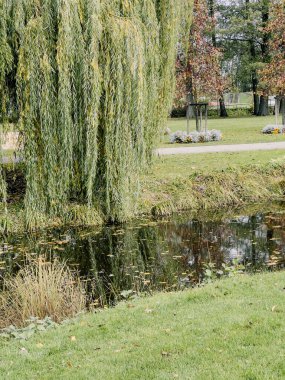 POS-terminal (. Point Of Sale (Türkçe: Satış Noktası, Satış Noktası), ödeme kartları kabul etmek için kullanılan elektronik yazılım ve donanım aygıtıdır..