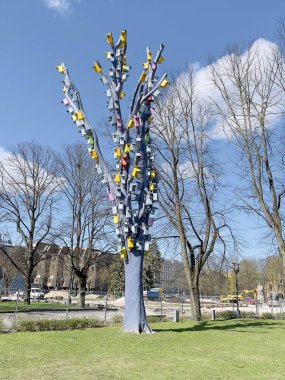 Riga. Şehir merkezinde ilkbahar. Çok renkli kuş evleriyle süslenmiş bir ağaç..