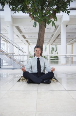 ağacın altında meditasyon işadamı