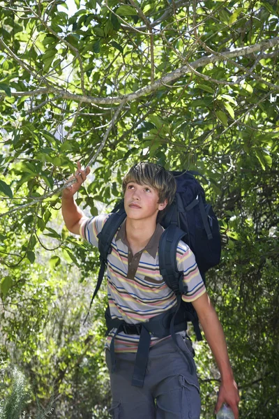 Adolescente menino andando na floresta — Fotografia de Stock