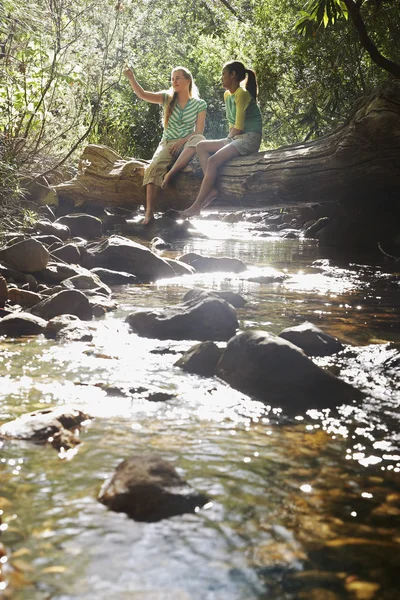 Multiethnische Freundinnen auf Baumstamm im Wald — Stockfoto