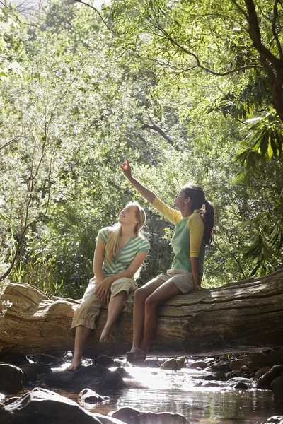 Amici femminili multietnici sul log in foresta — Foto Stock