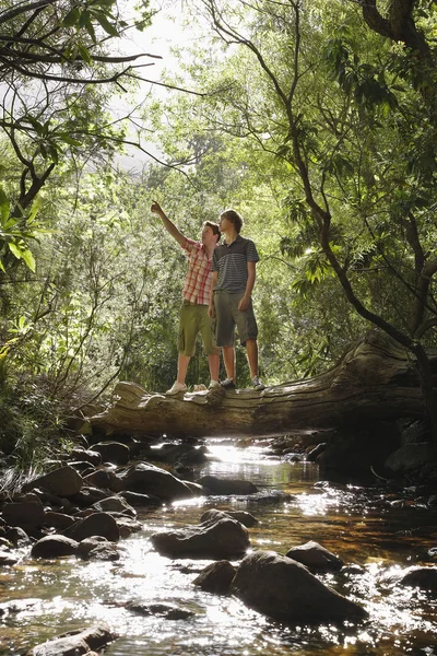 Přátelé stál na log nad lesní potok — Stock fotografie