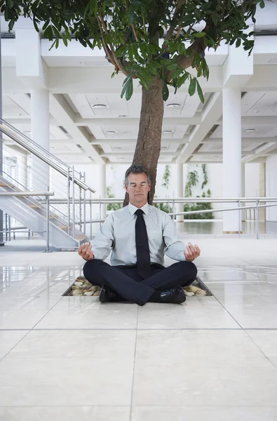 Бизнесмен медитирует под деревом — стоковое фото