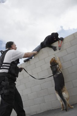 Güvenlik görevlisi köpek yakalamak hırsız ile