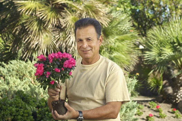Homme tenant la plante en pot dans le jardin — Photo