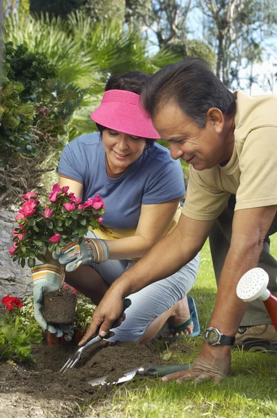 Paar pflanzt Blumen im Garten — Stockfoto