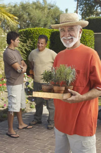 快乐的高级人持有盆栽的植物 — 图库照片