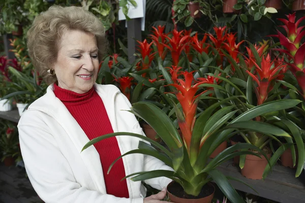 Starszy kobieta w ogrodzie botanicznym — Zdjęcie stockowe
