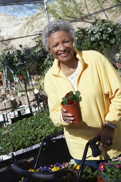 Donna che tiene la pianta all'orto botanico — Foto Stock