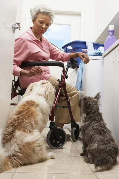 Woman sitting on wheel chair with dogs — Stock Photo, Image