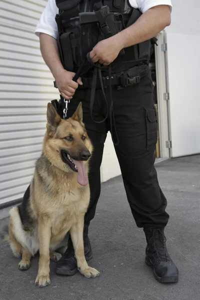 Guardia di sicurezza con cane — Foto Stock