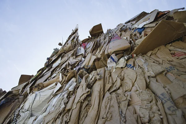 Alça de caixas de papelão no quintal — Fotografia de Stock