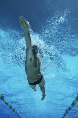 Male Professional Swimmer In Pool