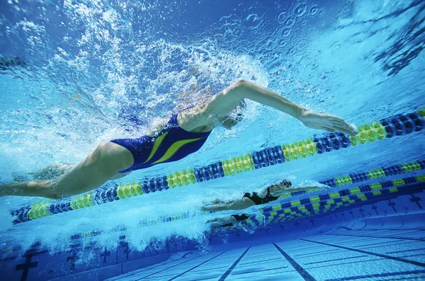 Squadra di nuoto pratica in piscina — Foto Stock