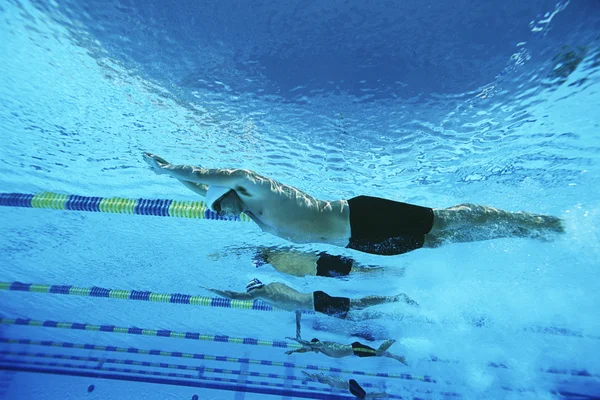 Masculino nadadores compitiendo en piscina — Foto de Stock