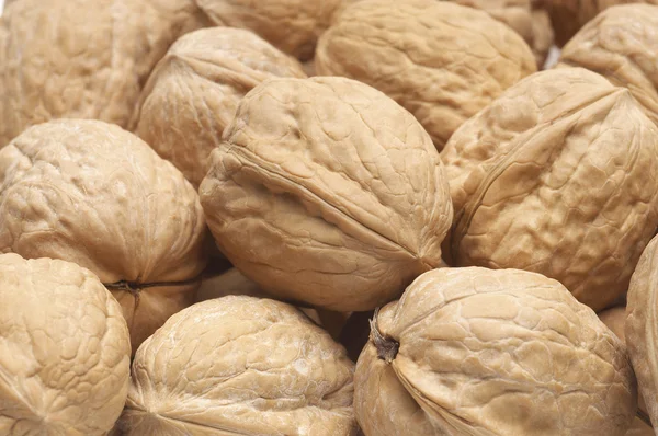 Ripe walnuts background — Stock Photo, Image