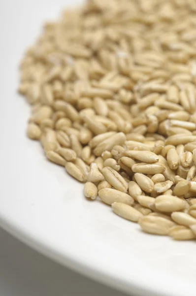 Nezpracovaná pšenice v destičce — Stock fotografie