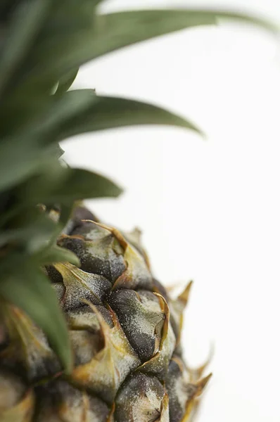 Detail van ananas — Stockfoto