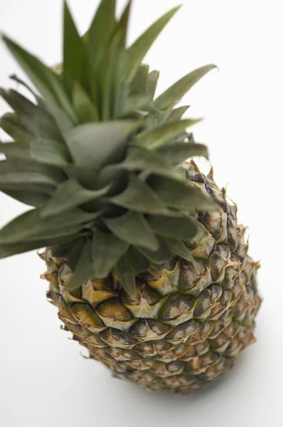 Taze ananas — Stok fotoğraf