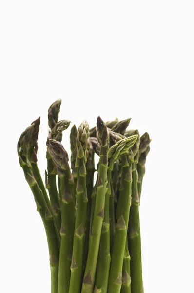 Groene asperges plant — Stockfoto