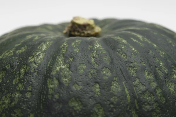 Green Gourd — Stock Photo, Image