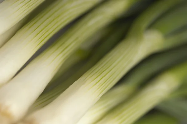 Fresh Leeks — Stock Photo, Image