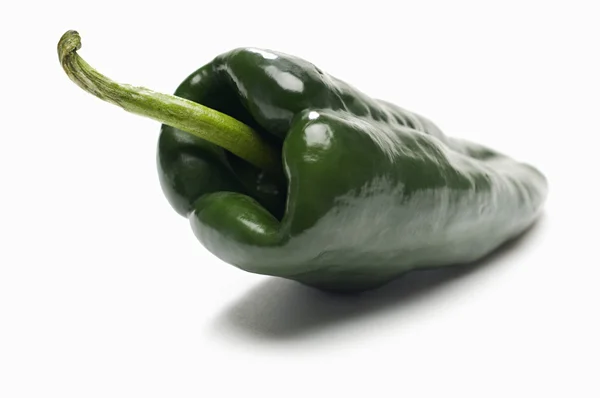 Groene chili — Stockfoto