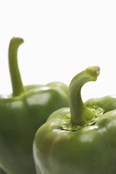 Geïsoleerde groene paprika — Stockfoto