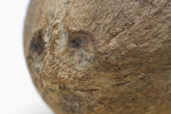 Closeup Of Coconut — Stock Photo, Image