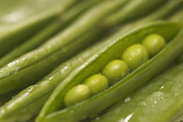 Geöffnete Erbsenschale — Stockfoto