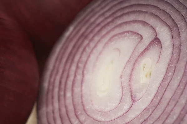 Geschnittene Zwiebel — Stockfoto