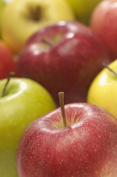 Reife bunte Äpfel — Stockfoto