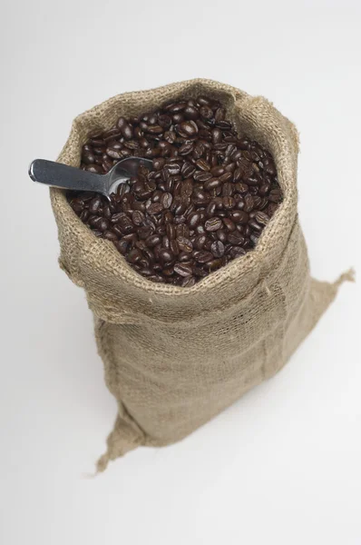 Coffee Beans In A Burlap Sack — Stock Photo, Image